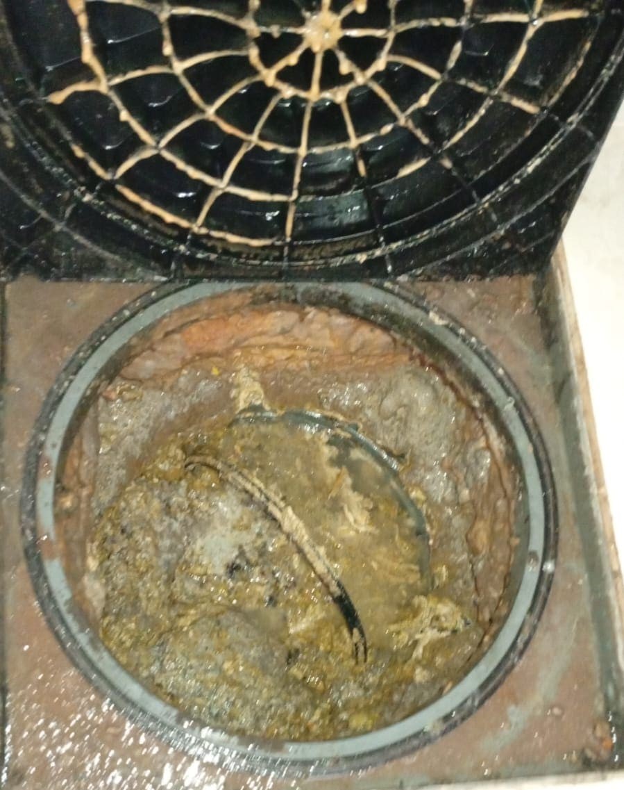 mdvddesentupidora.jpg123r