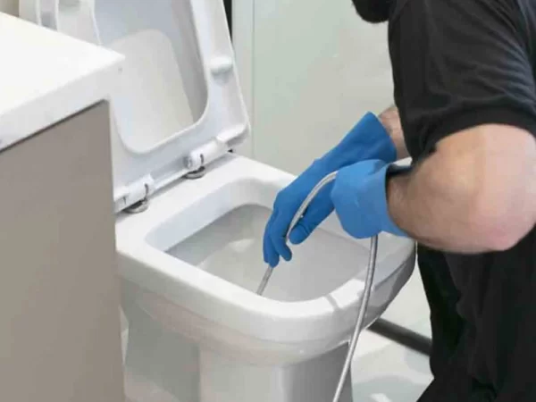 desentupidora de vasos sanitarios